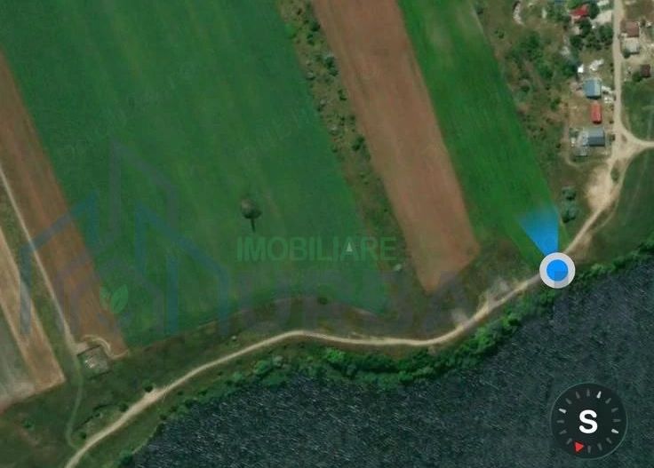 Teren intravilan 900 mp în Dancu, zona Lacul Chirița, cu drum de acces inclus - Poză 4
