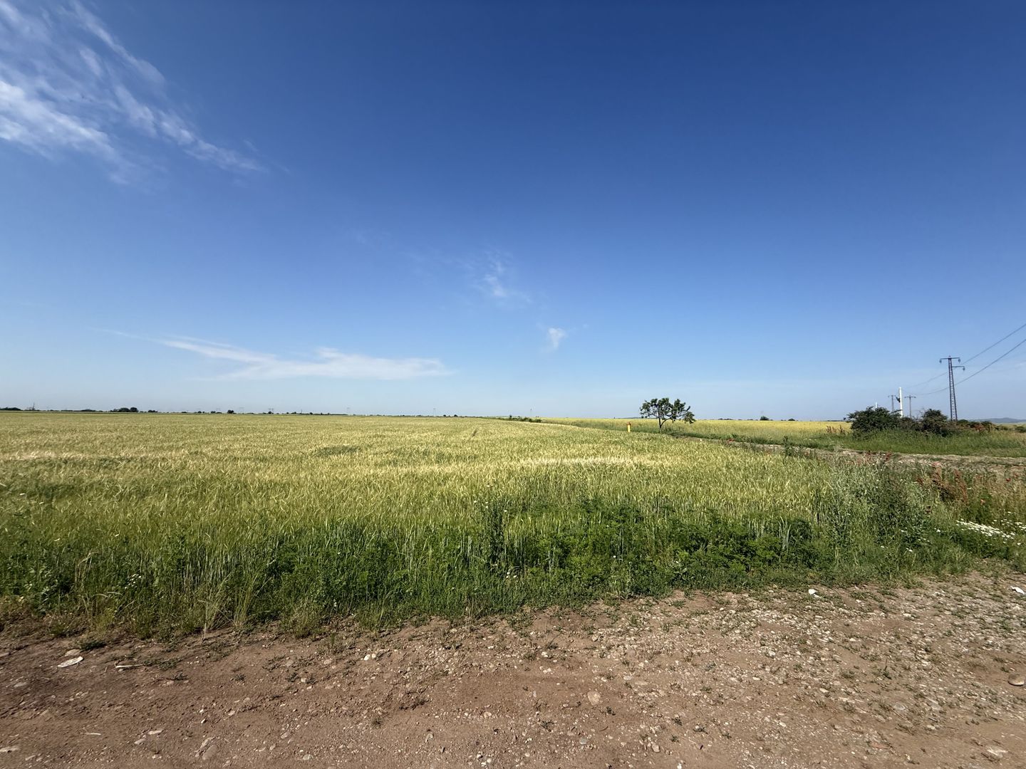 Teren 10 hectare pretabil pt panouri solare-Aricesti Rahtivani - Poză 11