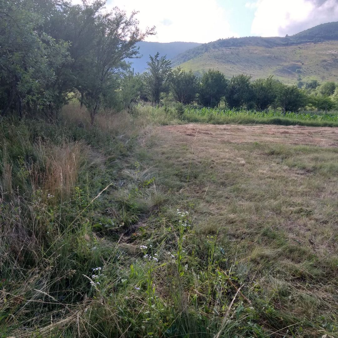 Teren Sasca Română-1079 mp - Poză 5