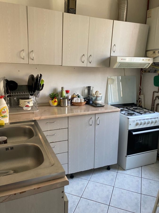 Apartament Dorobanti / Iancu de Hunedoara - Poză 7