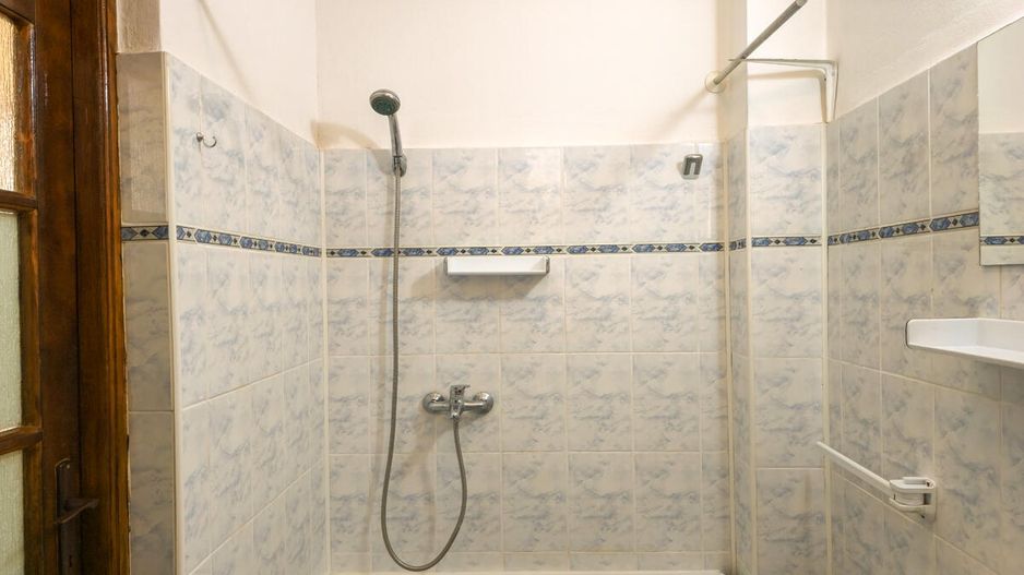 Lunei - Ion Neculce, 2 Apartamente. Mansarda 157 mp. Anexe, Lot 475 mp - Poză 23