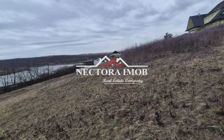 NECTORA IMOB-Teren Intravilan Zona Paleu, 589 mp, Vedere LAC,Utilitati - Poză 3