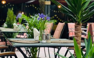 Predare afacere restaurant - Poză 2