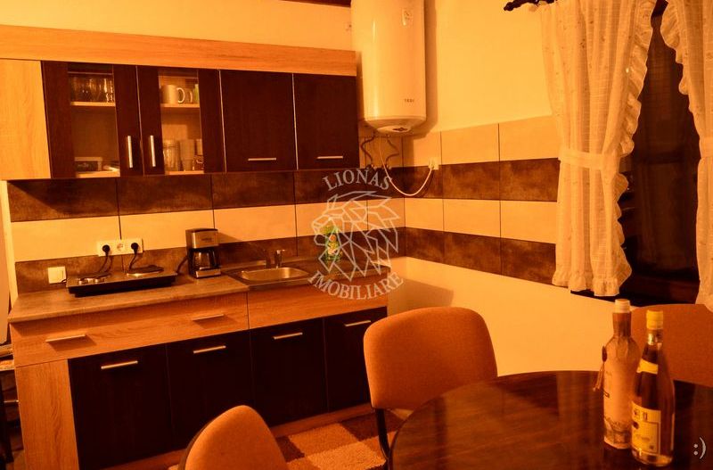 Cabana 5 camere-foisor / gratar / loc de joaca-Baile Figa - Poză 4