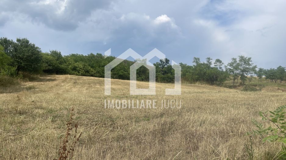 Teren Intravilan Constructrii 2258mp - Gadalin - Poză 4