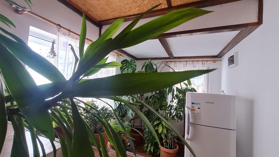 In regiune pitoreasca, cu view montan, Moeciu de Jos, Bran, Brasov - Poză 31