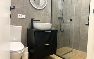 Casa individuala superba si curte de inchiriat - Poză 4