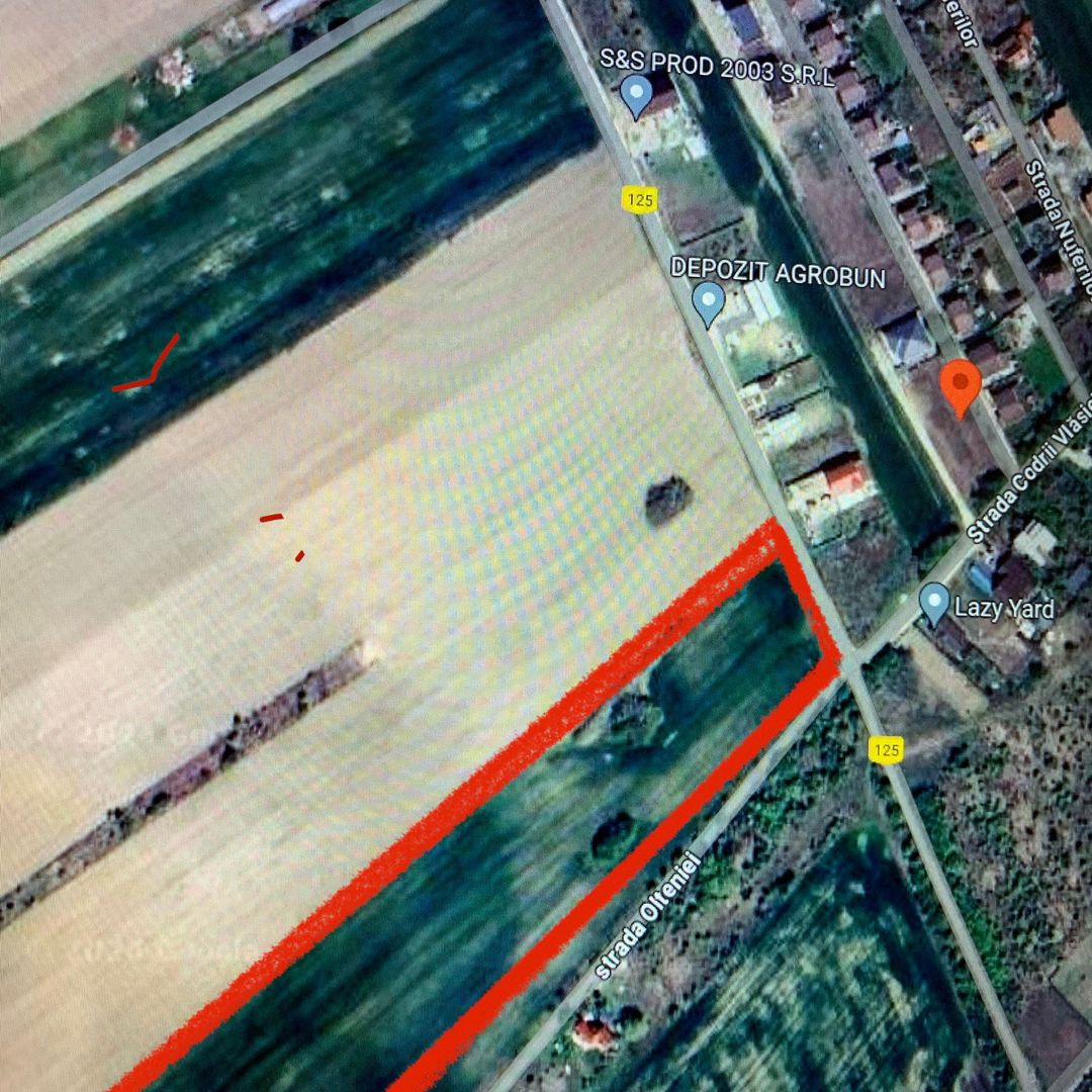 Teren de vanzare Domnesti-Teghes 16.400 mp Intravilan - Poză 1