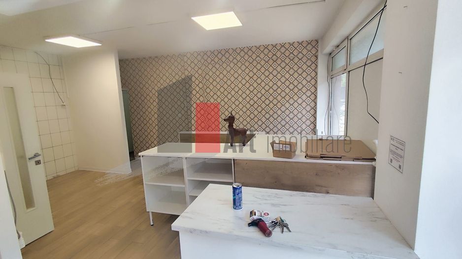 Spatiu comercial zona Aviatiei/Herastrau/Caramfil/Aurel Vlaicu - Poză 23
