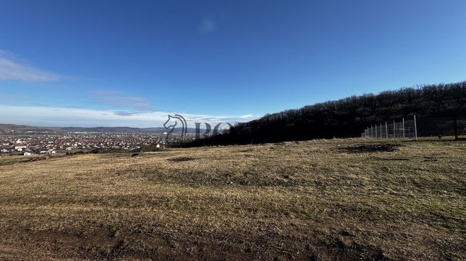 Oportunitate investiție 1153mp Tarnița - Micești - Poză 1