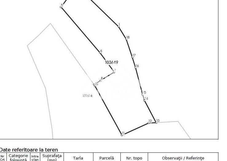 Teren constructii casa/cabana 2000 mp Valea Hrtibaciului Nucet - Poză 2