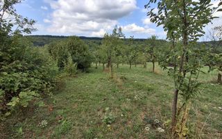 De vânzare teren extravilan în Sibiel, jud. Sibiu – 3223 mp - Poză 8