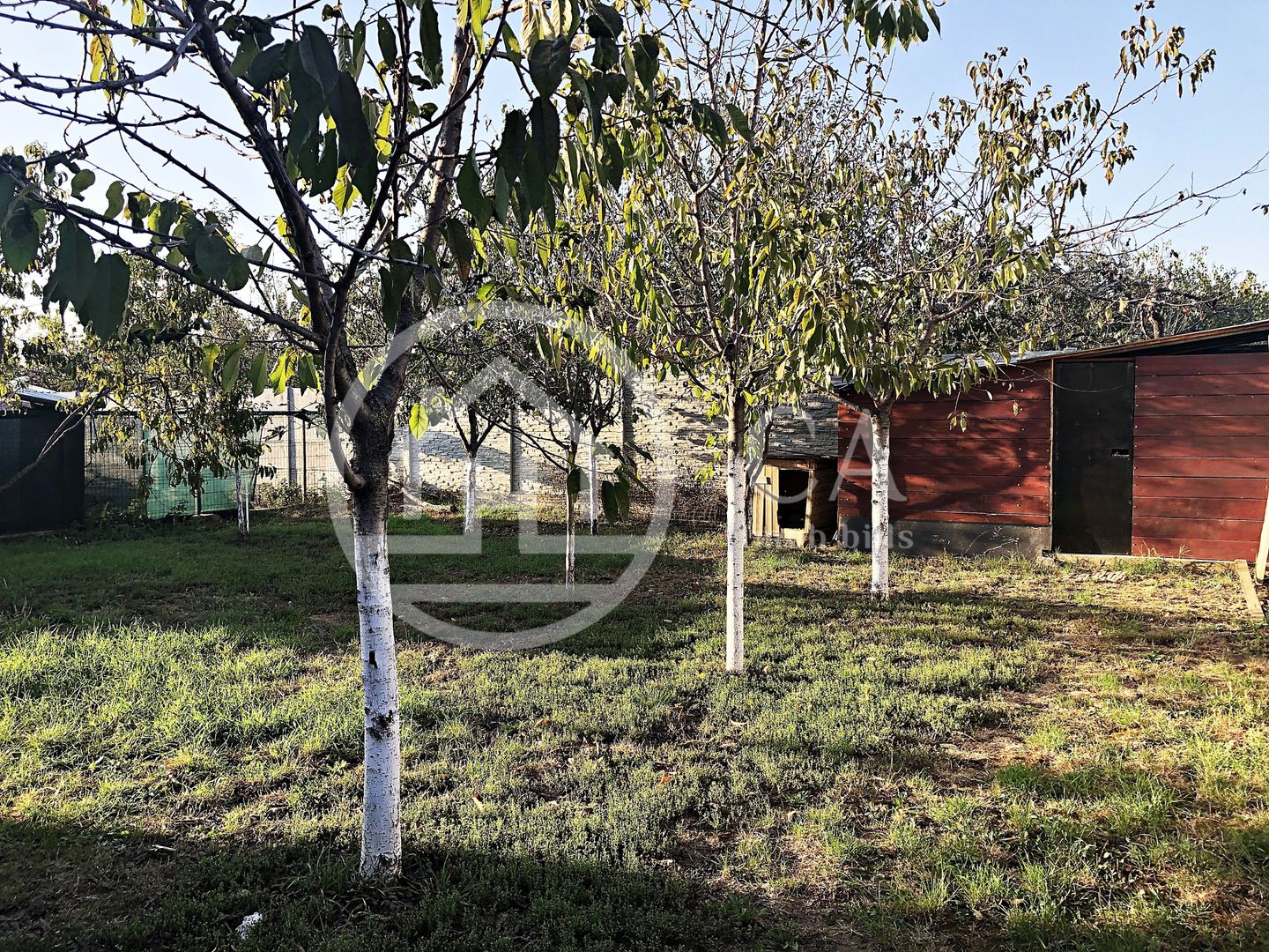 Casa cu 4 camere de inchiriat in zona Episcopia, Oradea - Poză 17