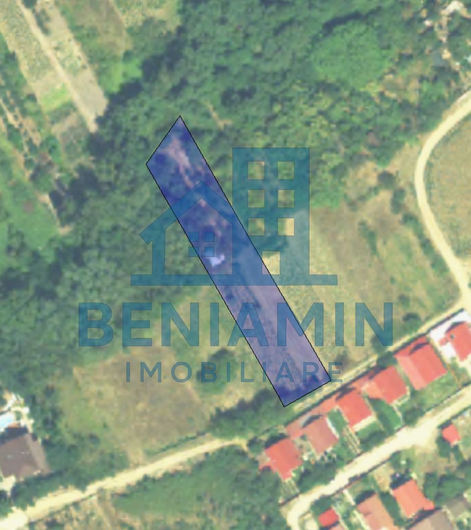 Teren Intravilan doua deschideri-3526mp-Malu Mare-parcelabil-asfalt - Poză 2