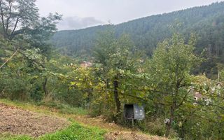 Casa Individuala I 2 Camere I Rasinari - Poză 11