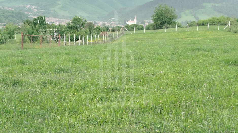 Teren de vinzare in Tropini Vechi - Poză 2