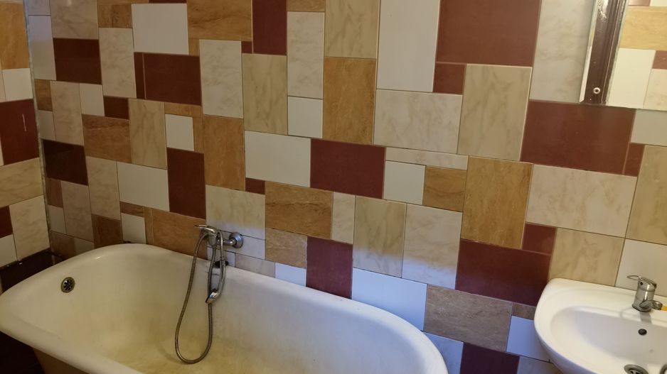 Casa cu apartamente si SAD -uri in zona Traian - Poză 9