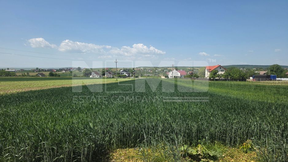 TEREN EXTRAVILAN | MITOCU DRAGOMIRNEI | 2.600 Mp - Poză 5