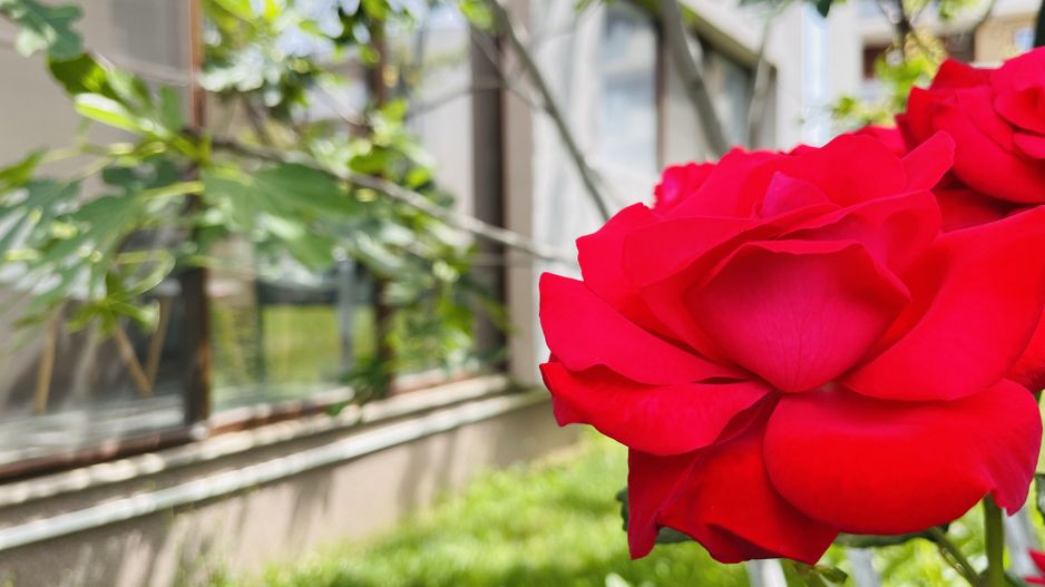 INCHIRIAT - Apartament modern cu 3 camere & 2 bai | 72 mp | Terasa inchisa - Poză 10