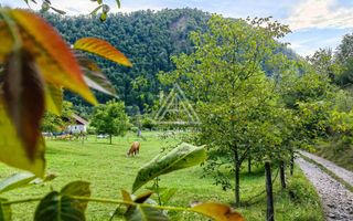 Casa,anexe si14.328 mp teren partial intravilan, com. Bulz, jud. Bihor - Poză 11