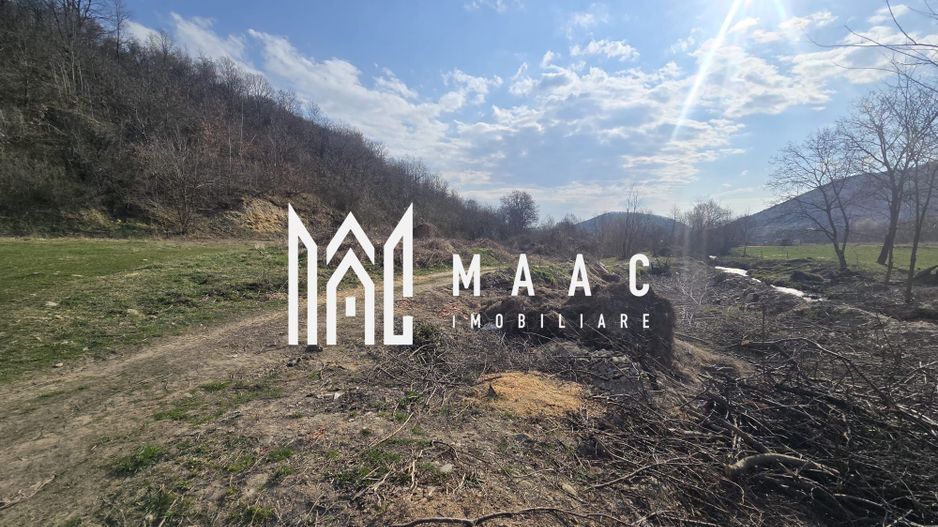 Teren 2317 mp INVESTITIE Sibiel - Poză 1