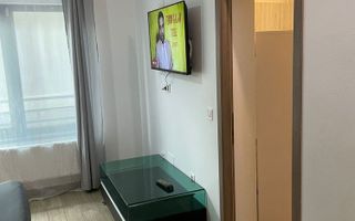 Apartament cu 1 cameră în Hlincea, Visan - parter, mobilat și utilat complet - Poză 3
