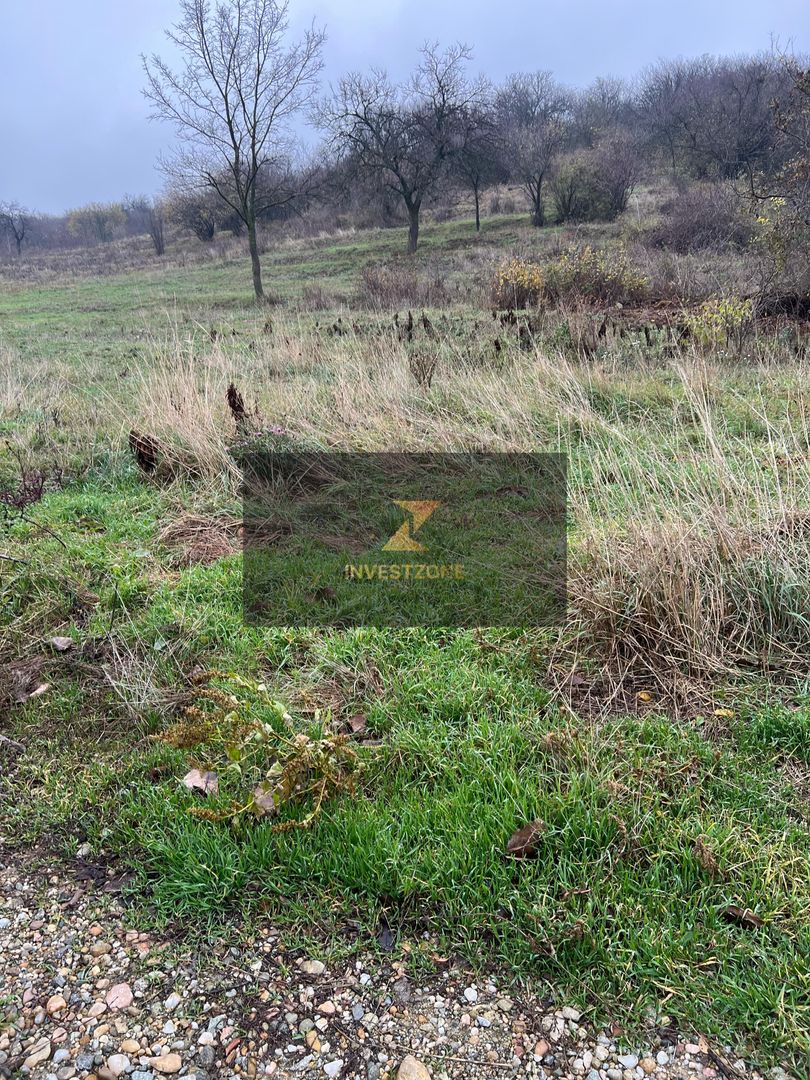 ⭐  Teren de 2.700 mp cu front generos – Ocazie în Oncea - Poză 1