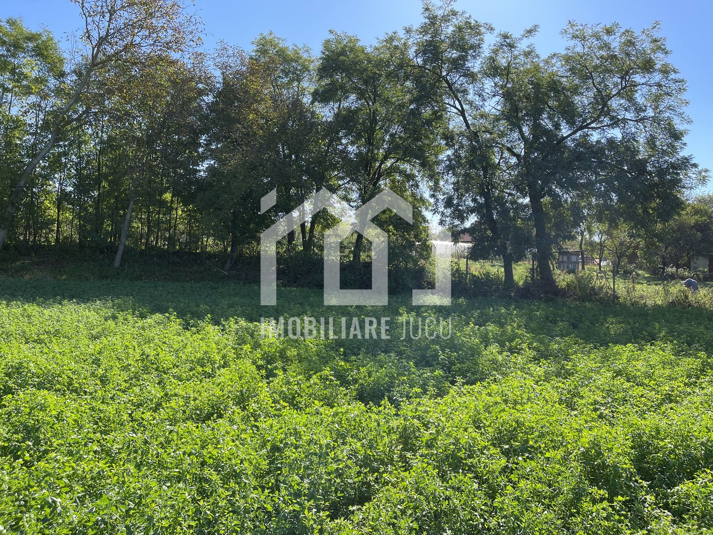 Teren Intravilan 1000mp - Jucu de Sus - Poză 5