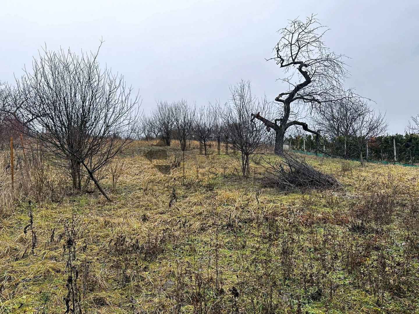 Teren intravilan 1765 mp cu panorama in Cartierul Podgoria - Poză 5