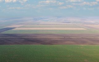 5 Ha | Teren extravilan | Langa Fabrica Reci - Poză 4