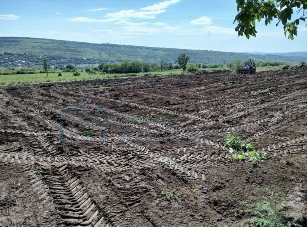Teren de vânzare în Sorogari, Comuna Aroneanu – 750 și 910 mp, extravilan - Poză 4
