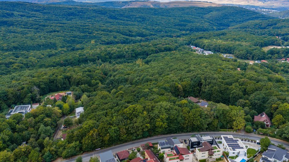 Teren cu suprafata de 10.000 mp I Faget - Poză 7