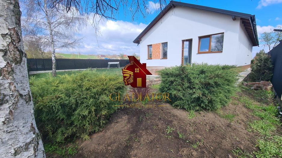 Casa plan parter deosebita, Lunca Cetatuii Ciurea, la asfalt, zona vis - Poză 12