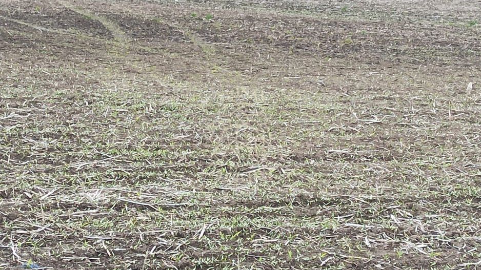 Teren intravilan 1000 mp cu utilitati-ideal casa P+2E-Sarata - Poză 3