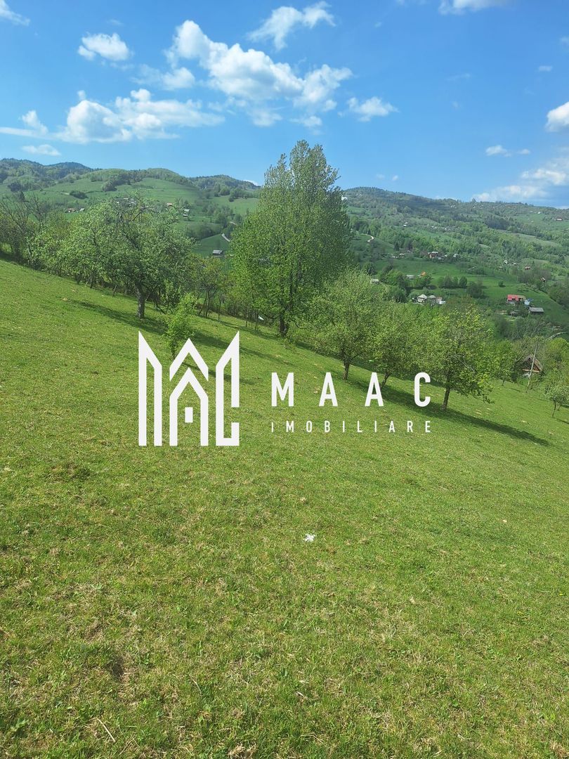 Poiana Sohodol I 5600 MP I Trei corpuri cladiri I Utilitati - Poză 10