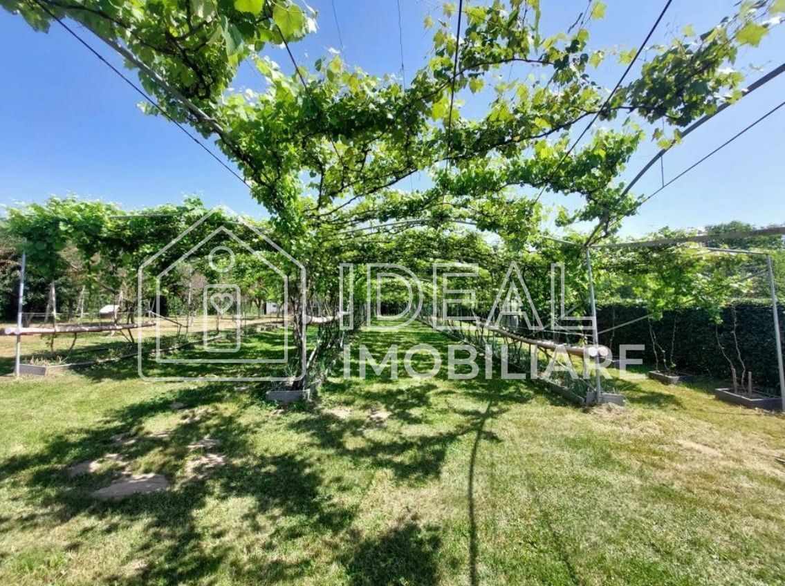 Teren intravilan 2.158 mp - Tropinii Noi, Sibiu | 2 parcele | Zonă Dumbrava - Poză 2