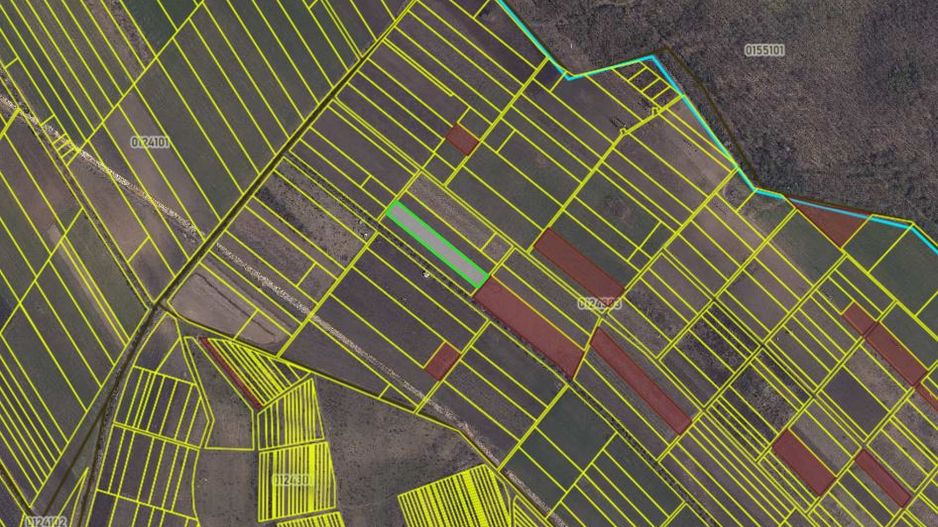 Teren agricol de 40 ari în Ghidighici – oportunitate pentru investiție sau activitate agricolă - Poză 7
