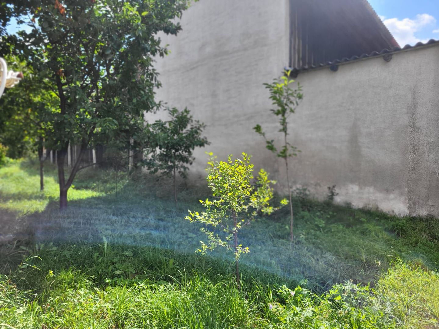 Sacele -Turches, gradina intre case, comision 0% - Poză 10