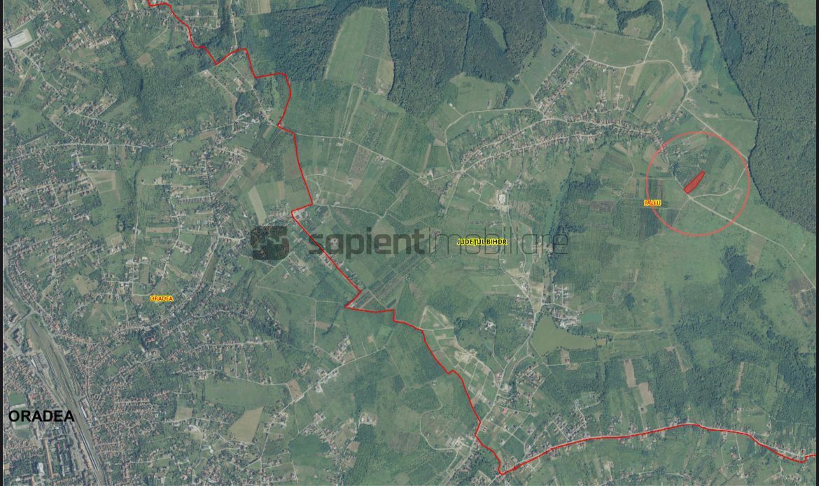 Sapient | Teren intravilan in Saldabagiu de Munte - Poză 3