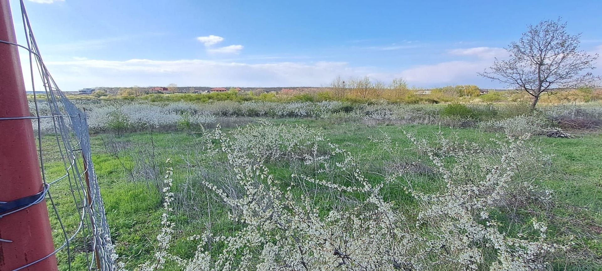 Mogosoaia, teren 792 mp, vedere la lac, utilitati, statie STB la 750m - Poză 4