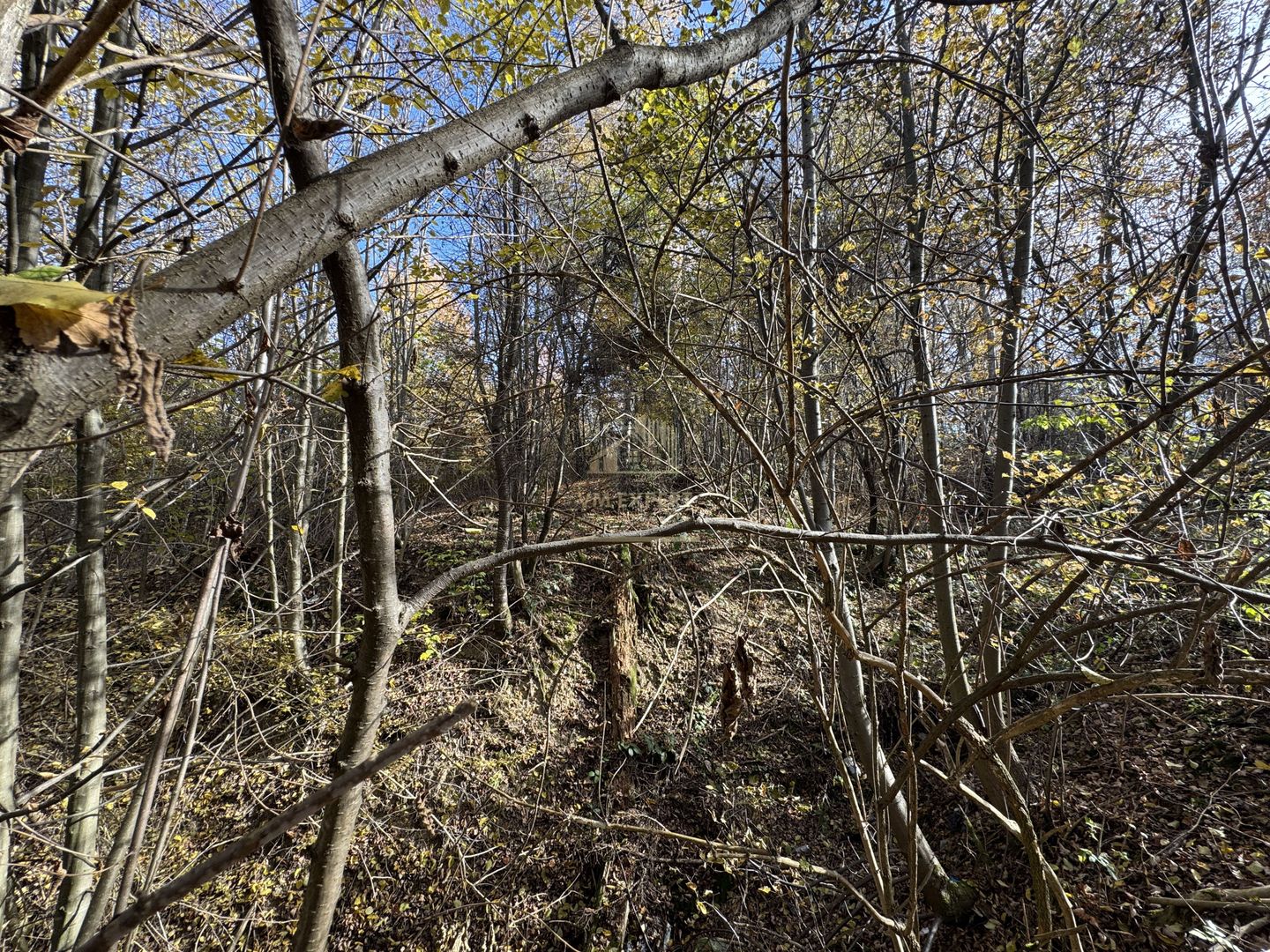 TEREN INTRAVILAN 13167 MP BUGHEA DE SUS ARGES - Poză 16