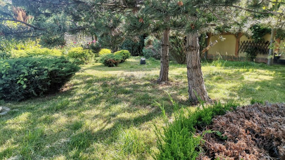 Vilă de lux mobilata/utilata cu terasa+foisor, garaj,gradina si livada - Poză 17