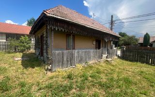 GRADINA BUNICII DE ODINIOARA,DE VANZARE -PAPAUTI,COVASNA. - Poză 9