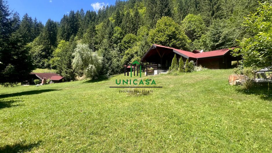 Proprietate deosebita de vanzare – Voinesița, Comuna Voineasa - Poză 1