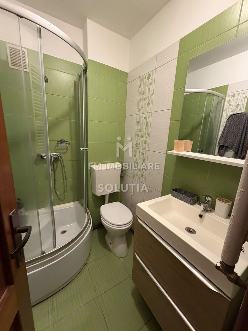 Apartament cu 1 cameră de închiriat – Strada Victoriei, zona RFN - Poză 9