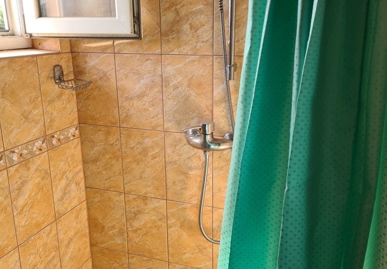 Inchirieri case/vile - Poză 5