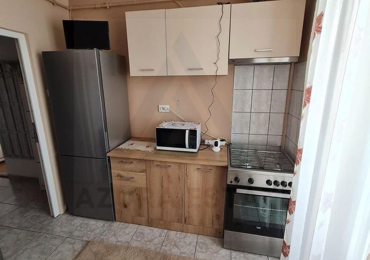 Apartament 1 camera 41 mp utili pivnita si balcon inchis Turnisor - Poză 3