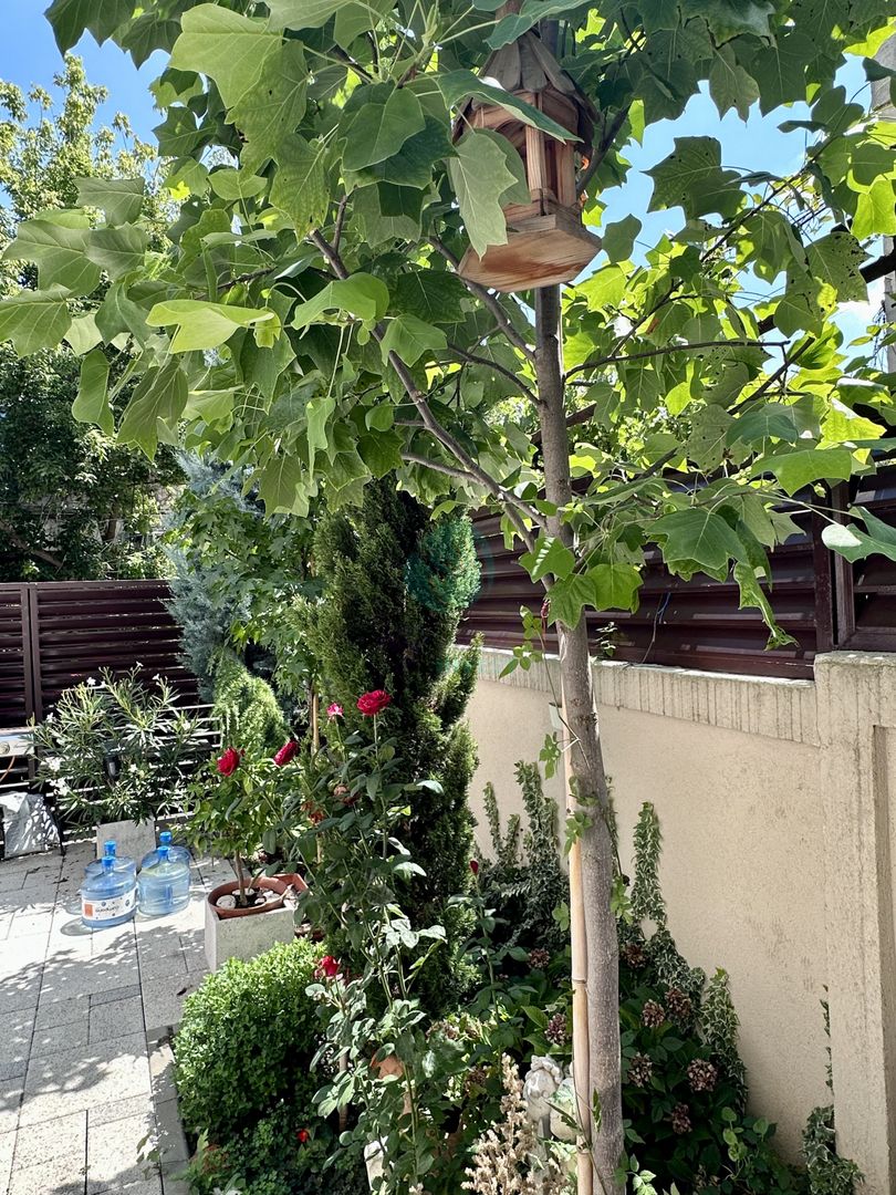 Casa renovata in zona Vatra Luminoasa - Poză 14