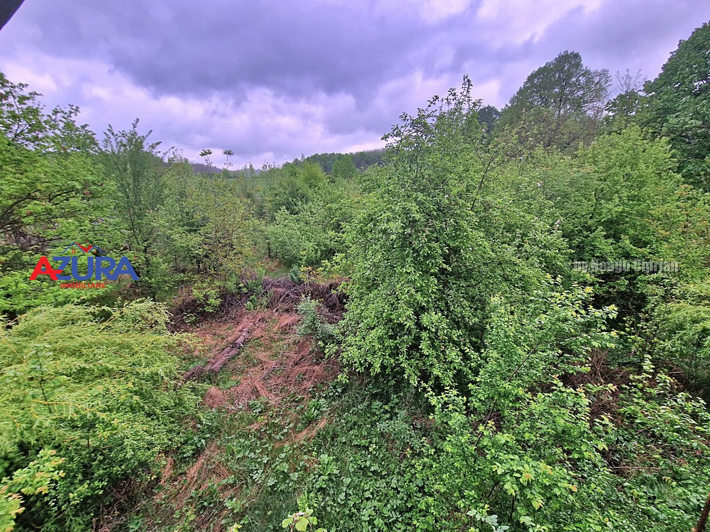 AZURA Imobiliare - Casa cu Teren Budeasa Galasesti - Poză 36