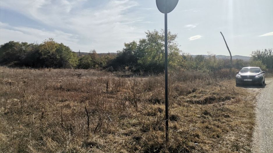 Vanzare teren arabil 22 Ha, plan, Arges, Moraresti - Poză 7